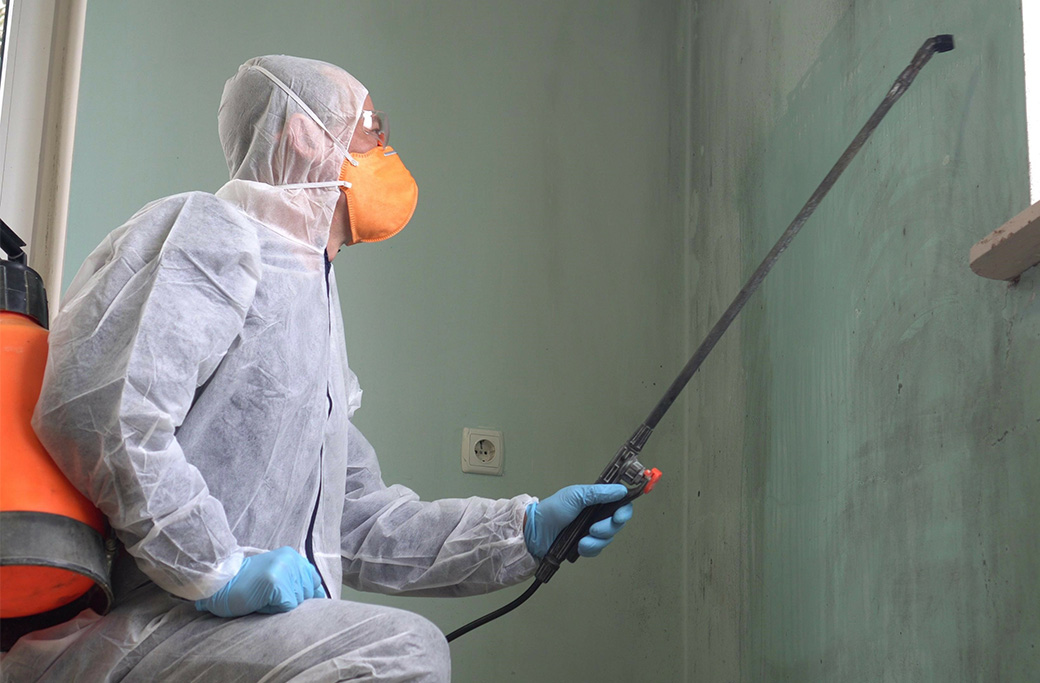 DIY vs. Professional Mold Remediation: Pros and Cons