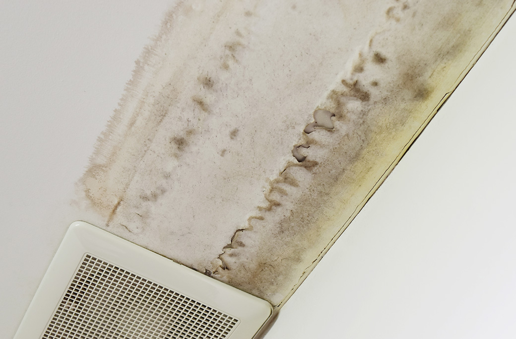 Common Misconceptions About Mold and Restoration