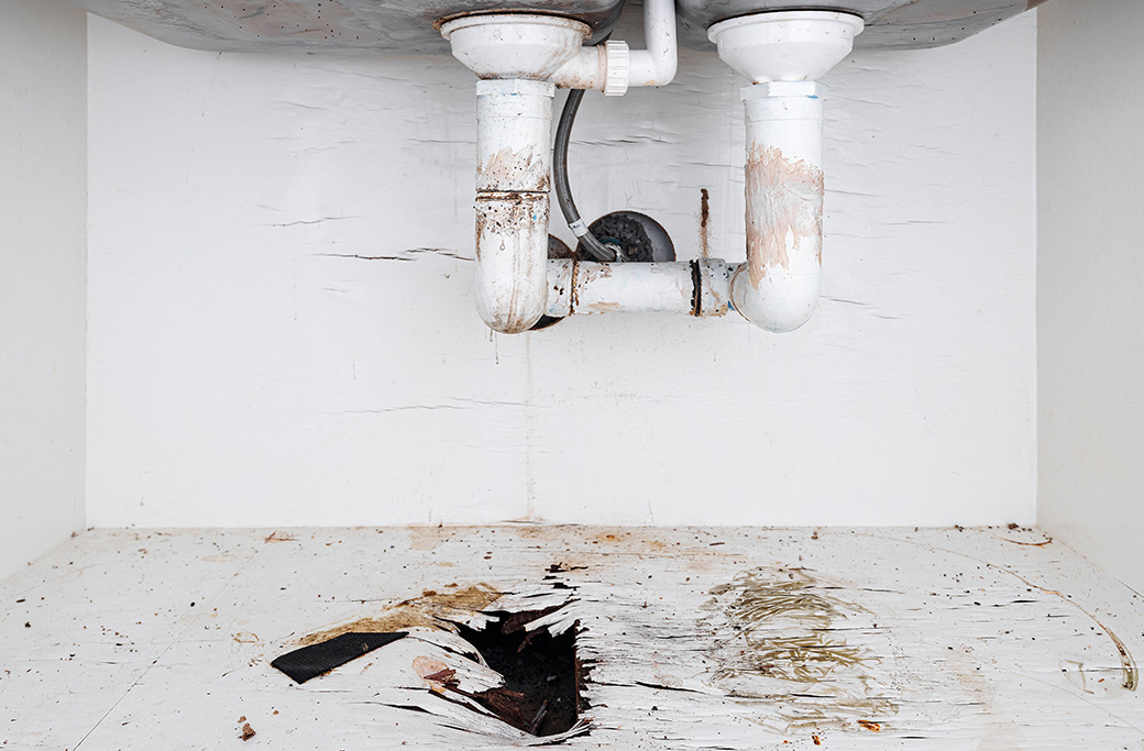 Importance of Timely Restoration for Water Damage