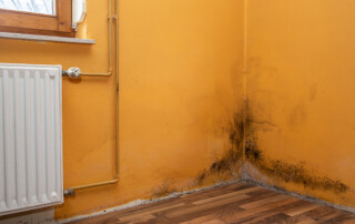 Mold Damage Repair in High Point