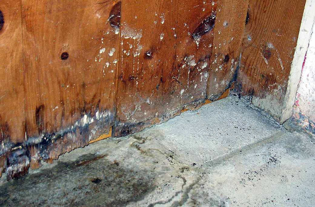 Signs of Water Damage in Your Basement
